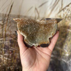 Ruwe vlinder ± 13 × 8 cm (zware kwaliteit)