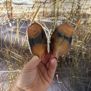 Agaat vlinder (natuurlijk) #2